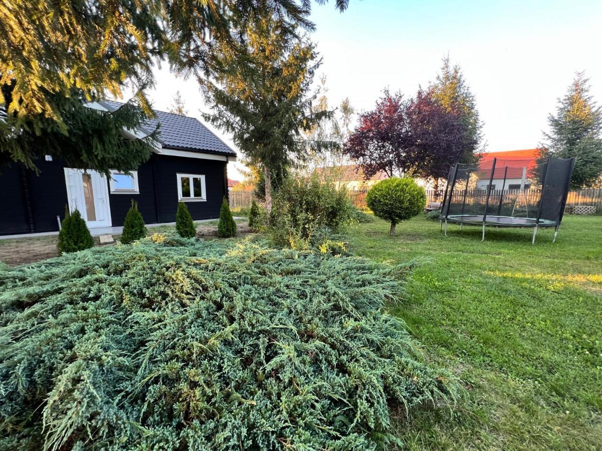 Vila Scandinavia Sîngeorgiu de Mureş Eksteriør bilde