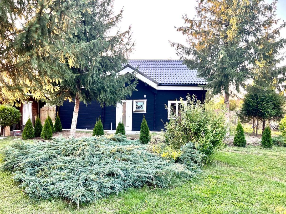 Vila Scandinavia Sîngeorgiu de Mureş Eksteriør bilde